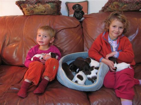 Loved, cuddled, and socialized by our granddaughters Loved, cuddled, and socialized by our granddaughters